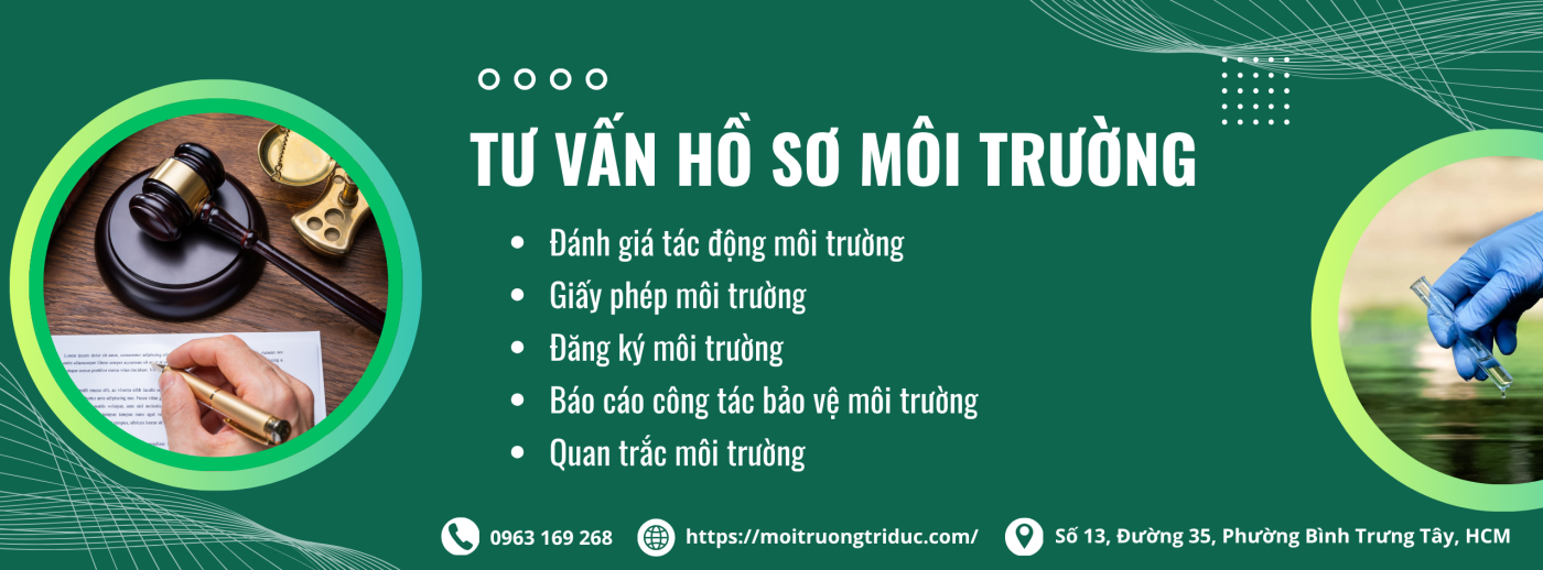 Anh dai dien tu van moi truong tri duc