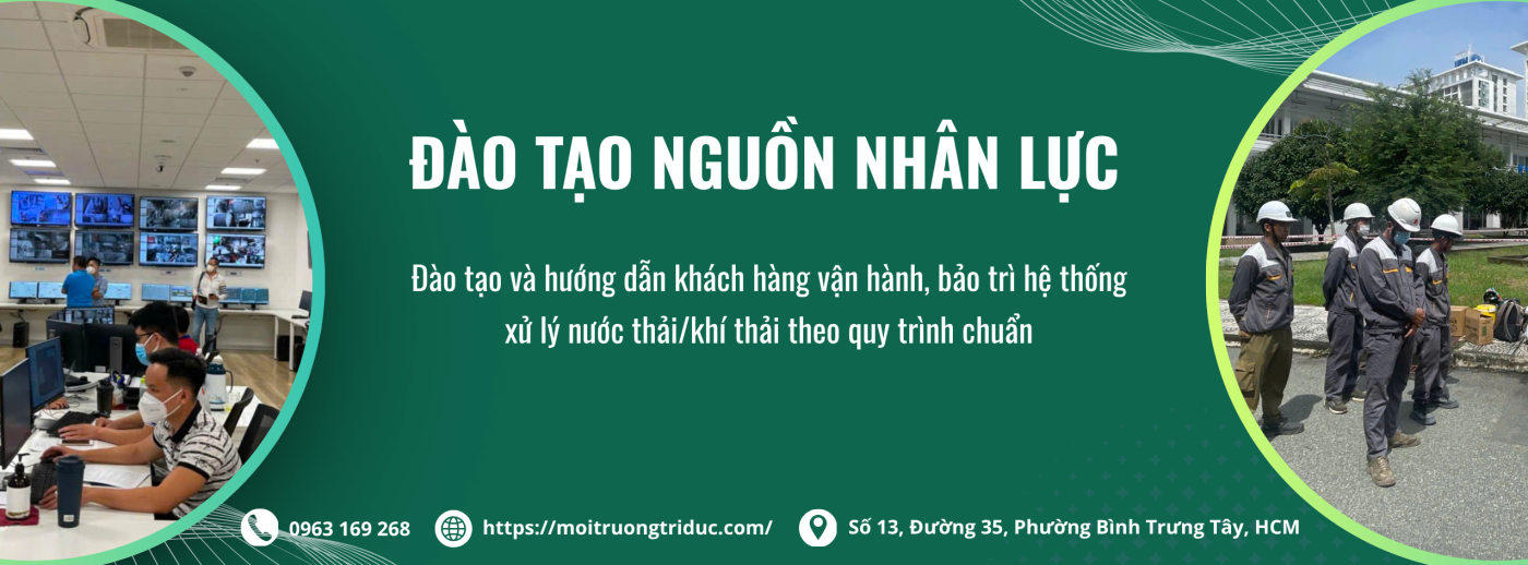 Anh dai dien tu dao tao nguon nhan luc moi truong tri duc